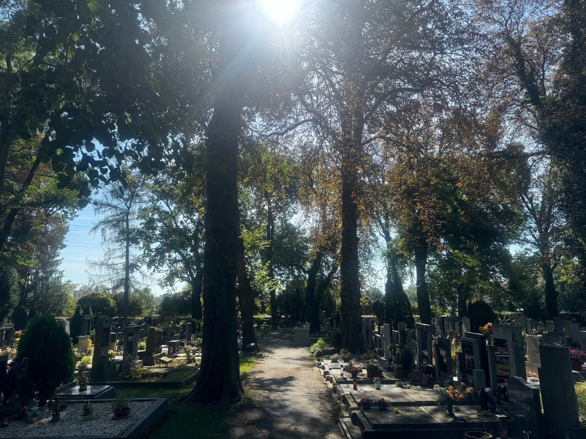 Kyjský hřbitov - photo 1 showing the facility