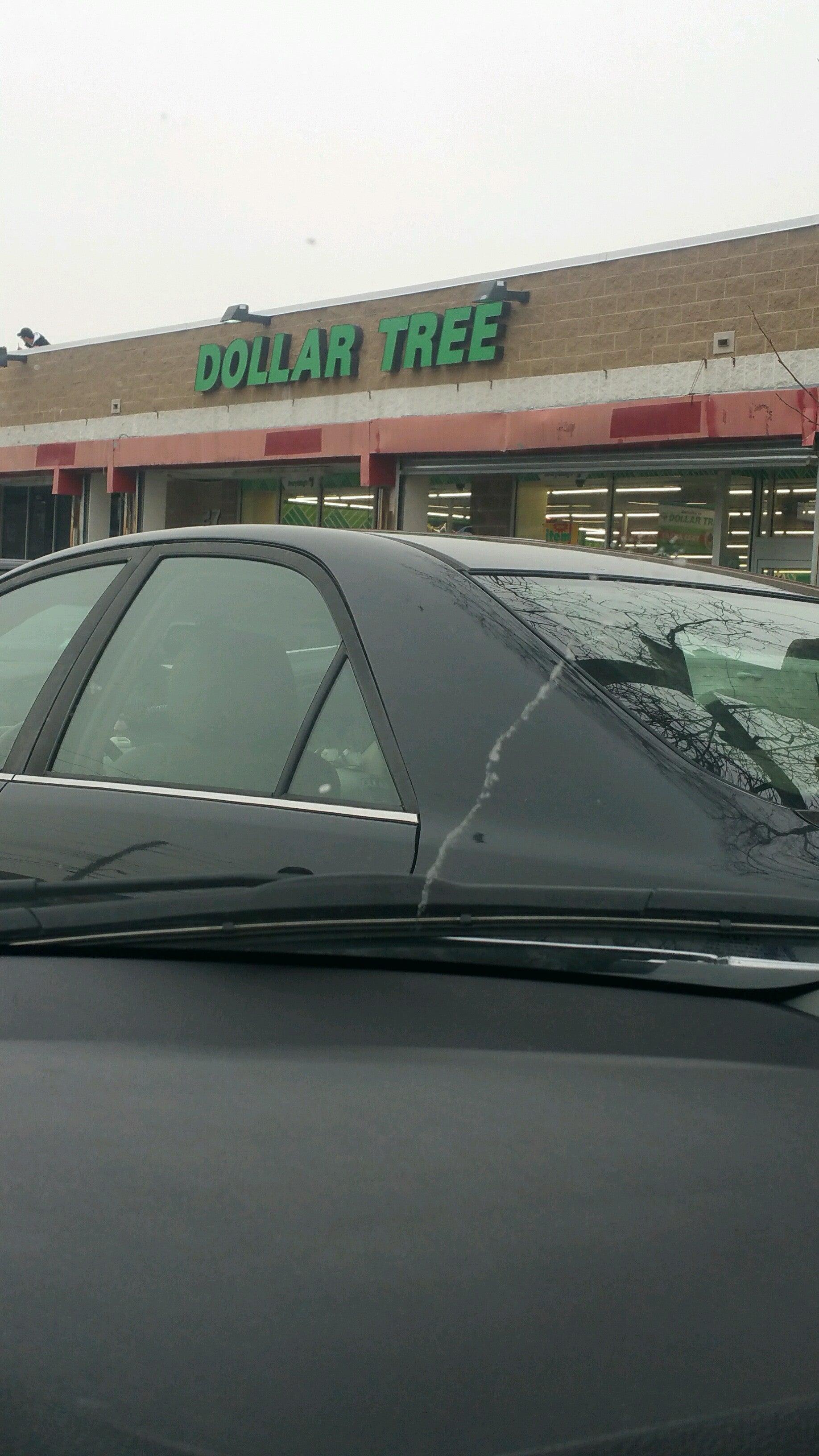 Dollar Tree Logo
