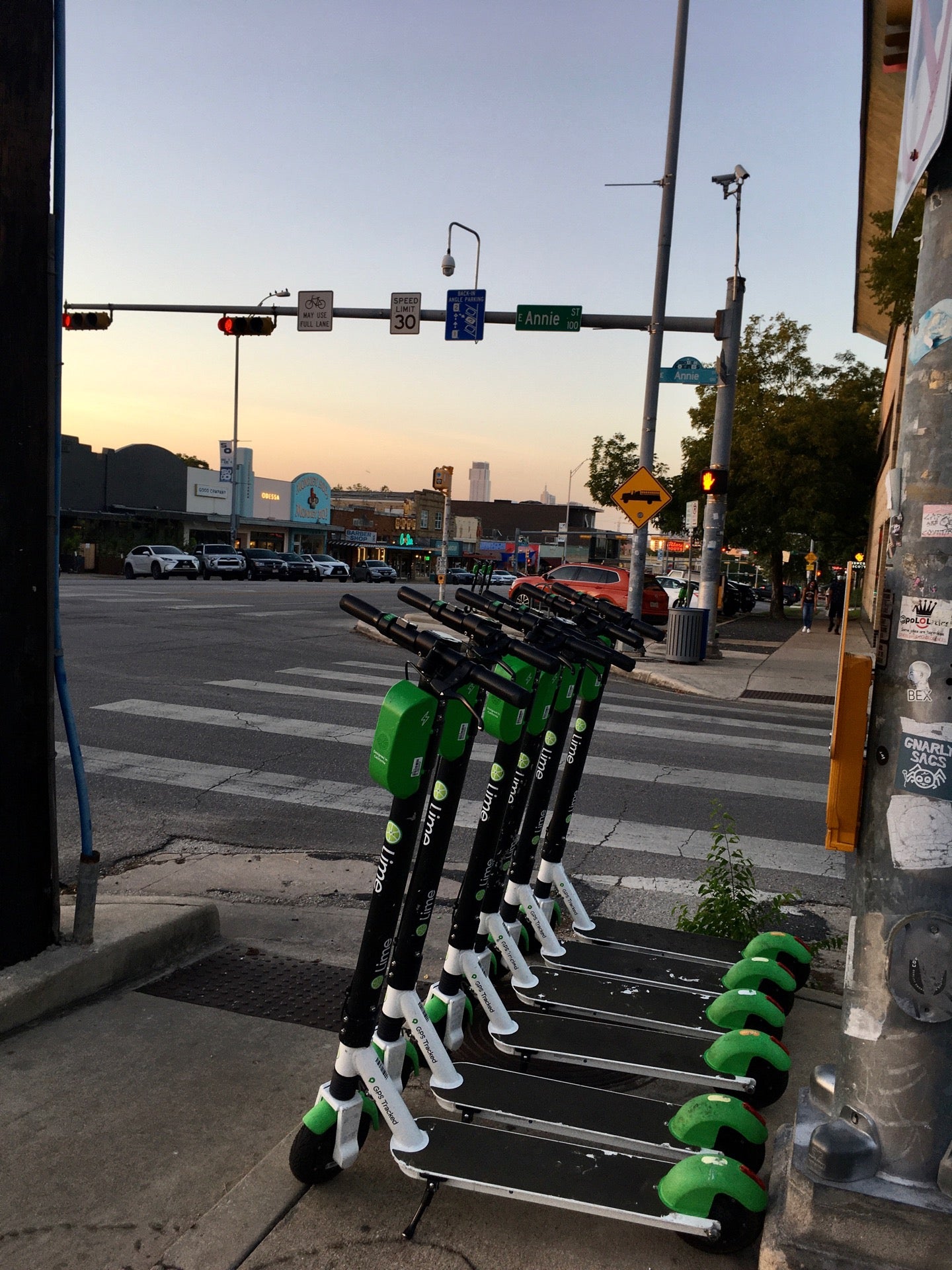 Your Essential Magnificence Logo