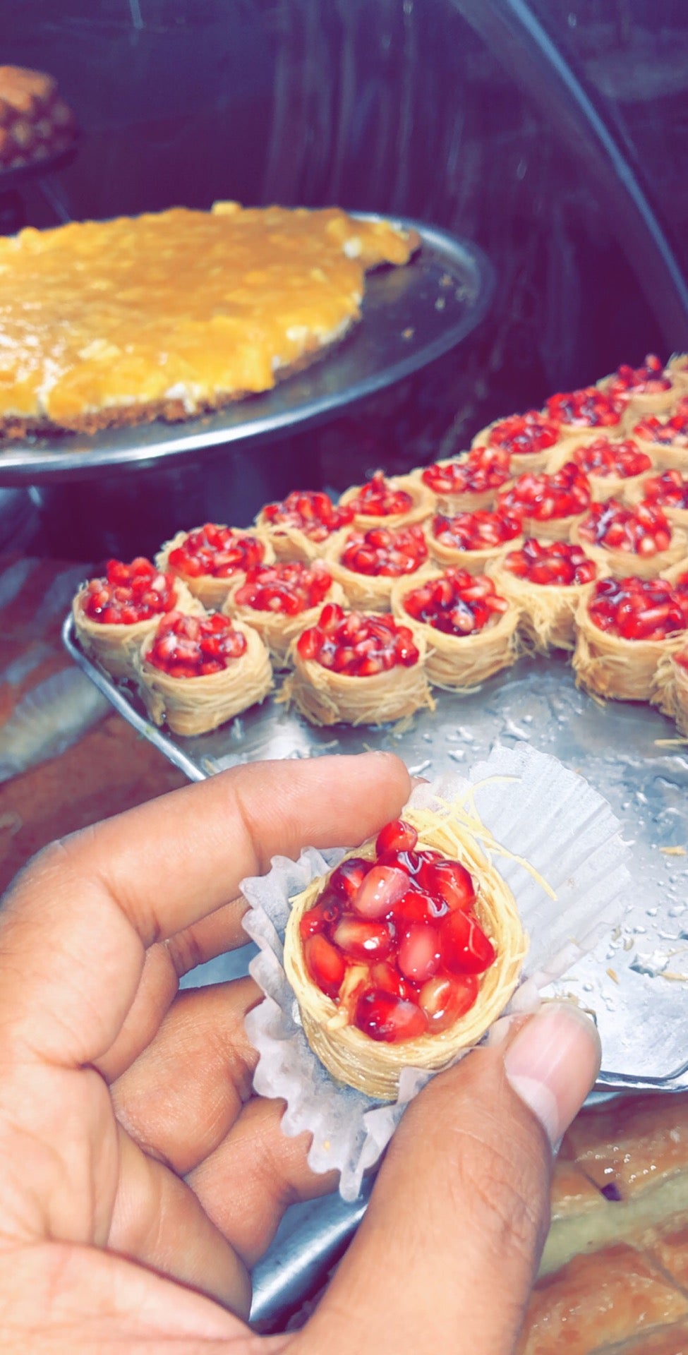 فطاطري الدمياطي Logo