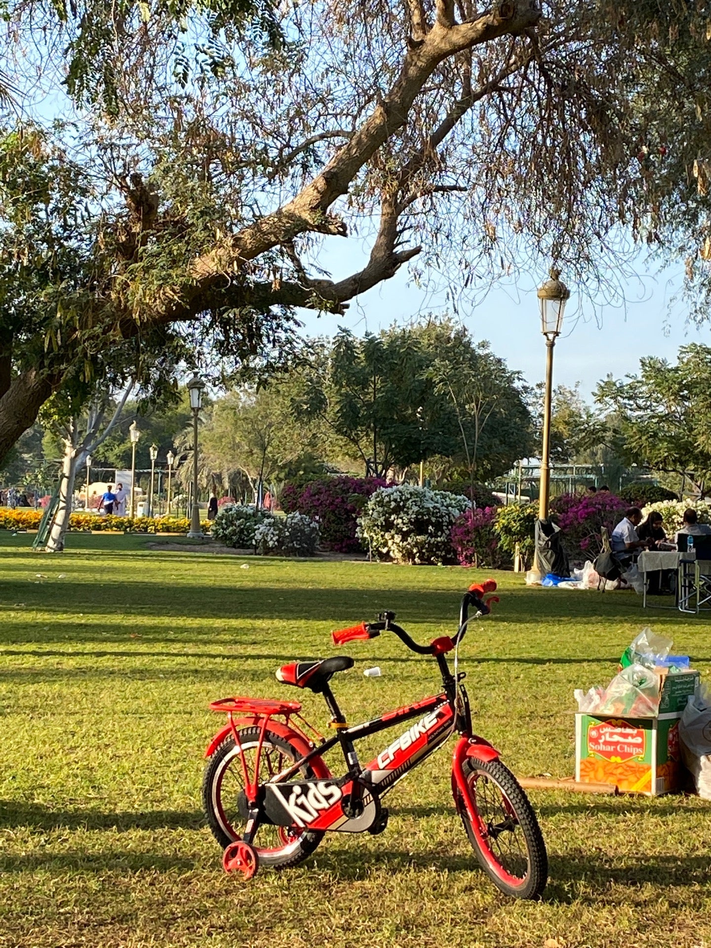 Sharjah National Park in Sharjah, United Arab Emirates