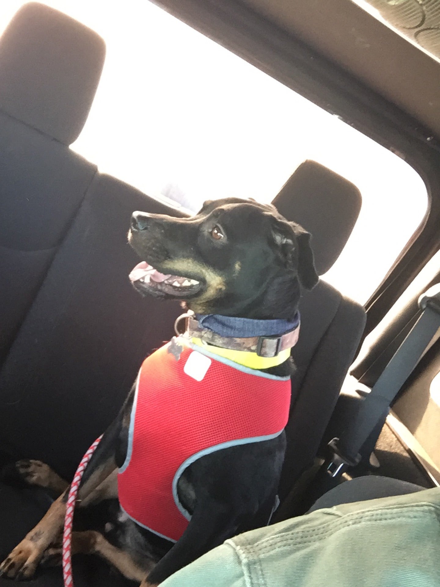 Winchester Veterinary Clinic