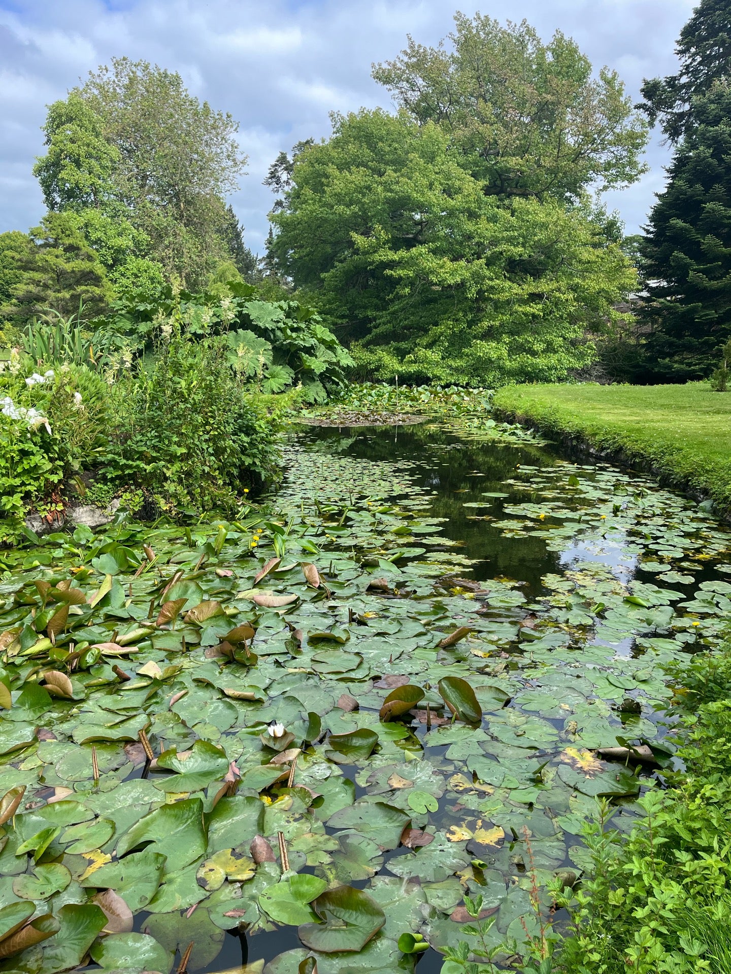 National Botanic Gardens 18