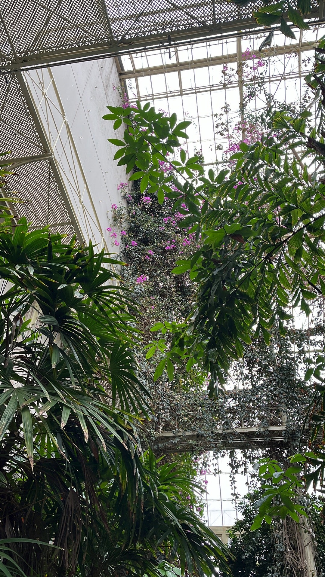 National Botanic Gardens 9