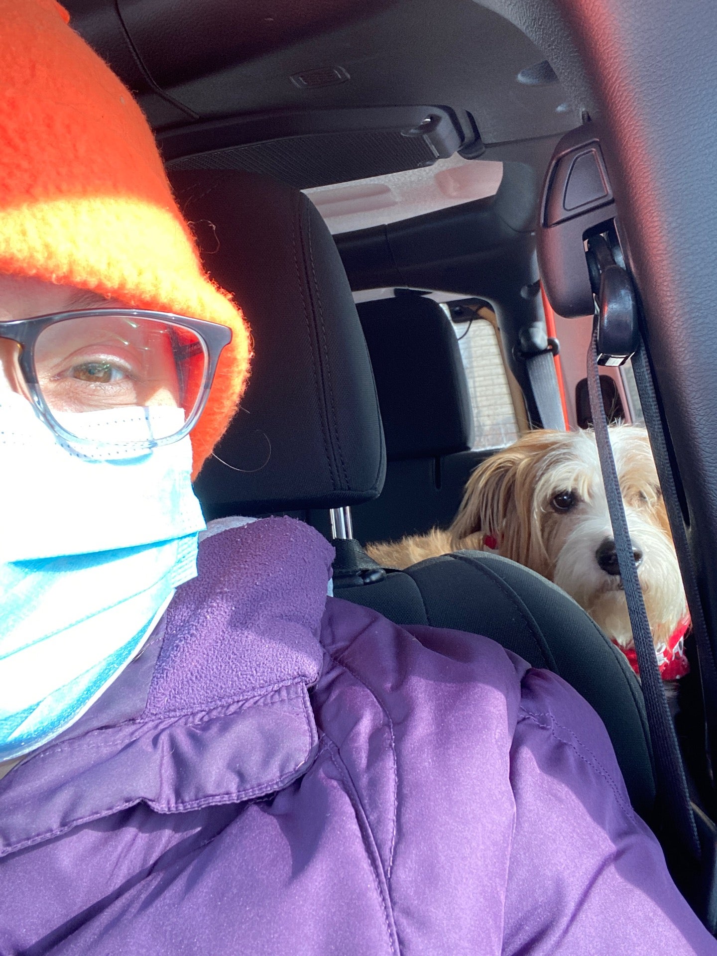 Midway Animal Hospital