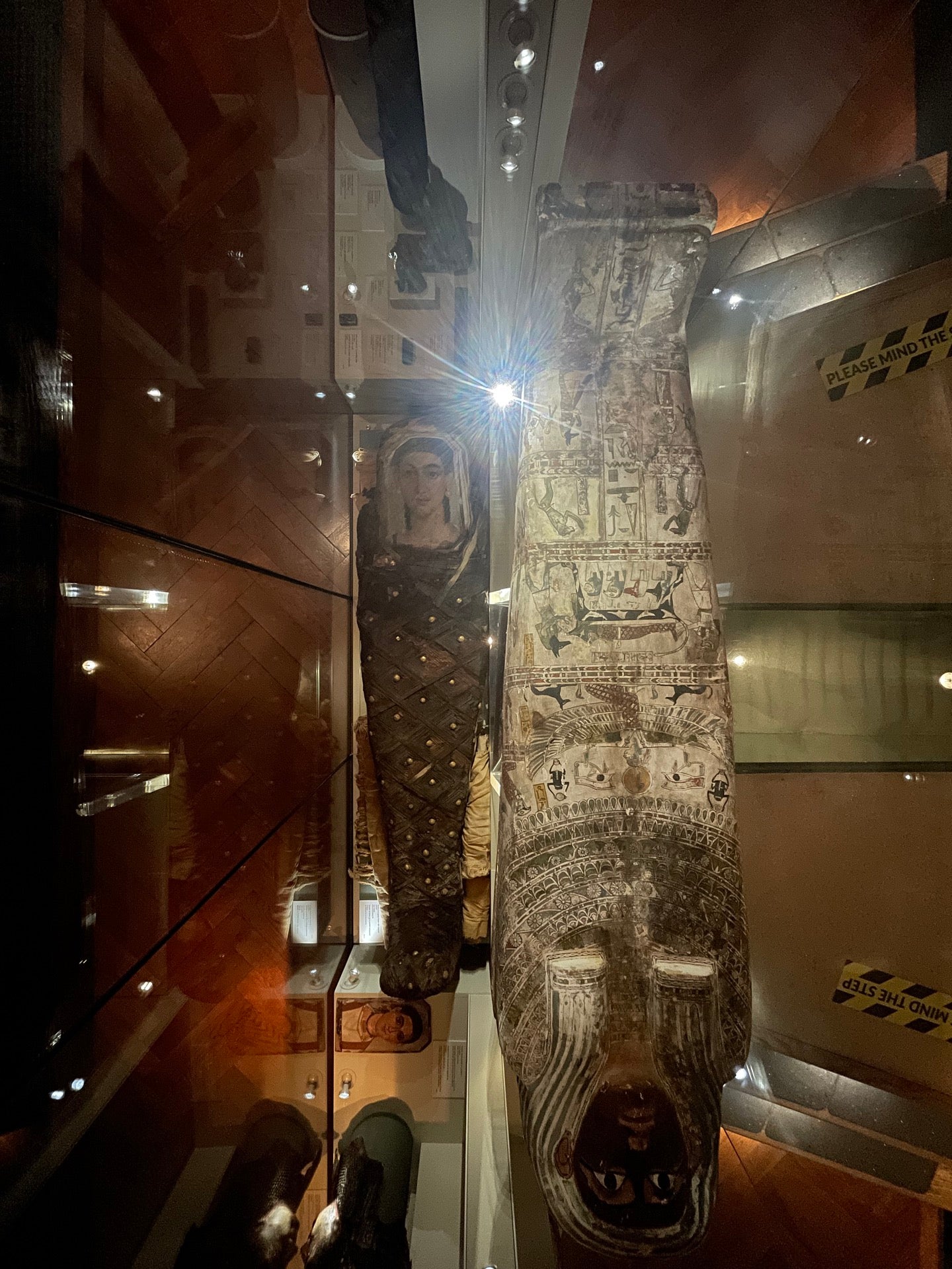 National Museum of Ireland - Kildare Street 8