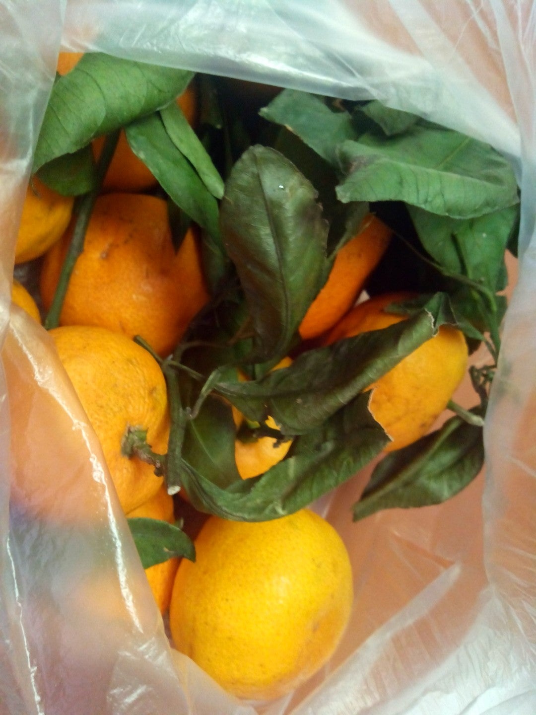 Оптовая База