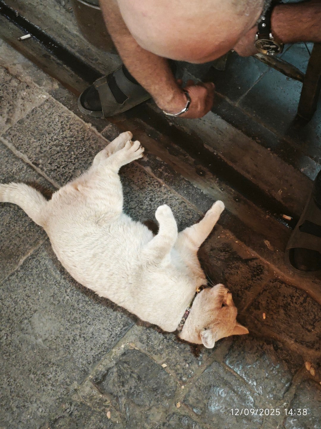Mekan fotoğrafı 6