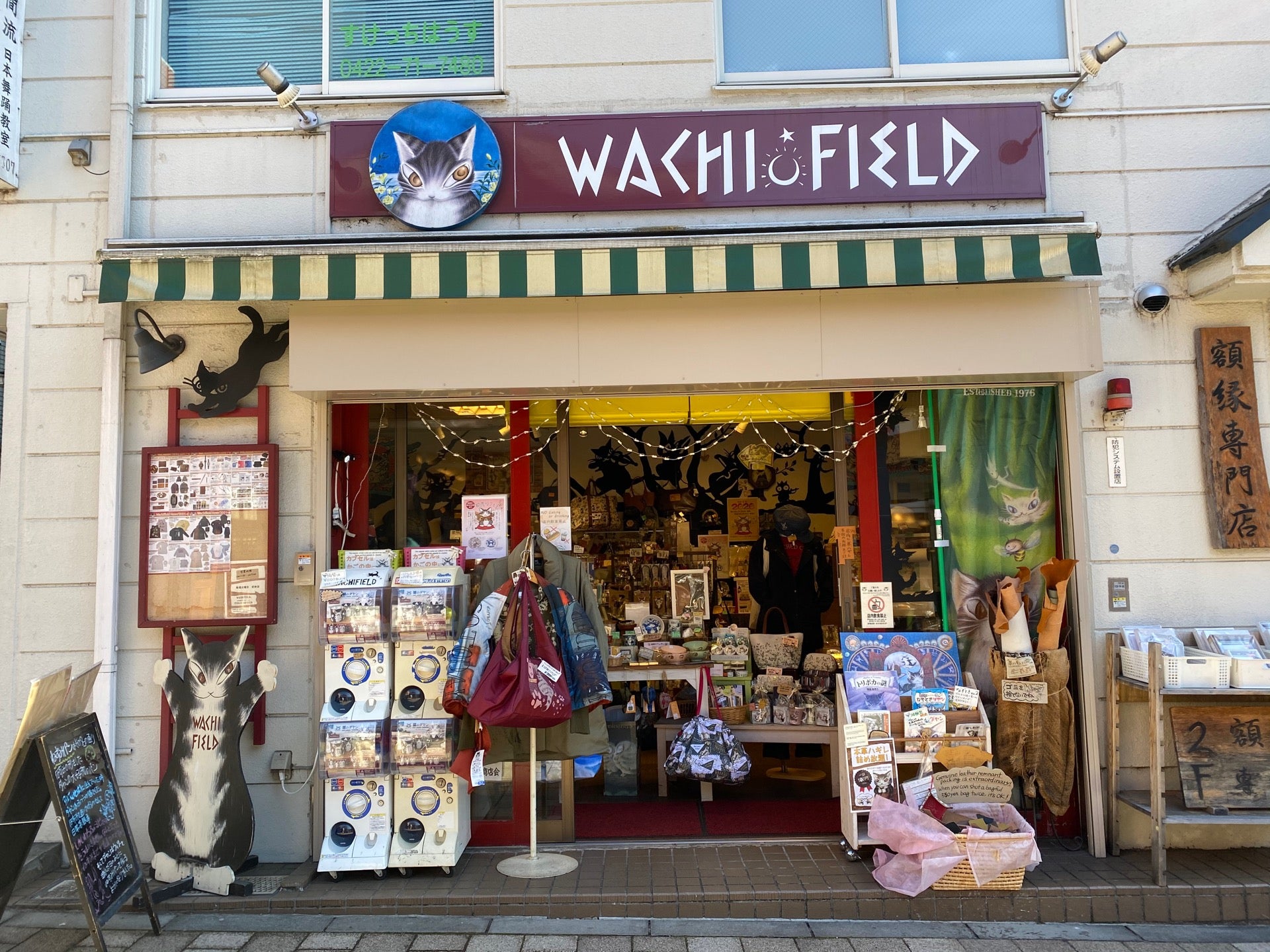 Wachifield Rashikanoi