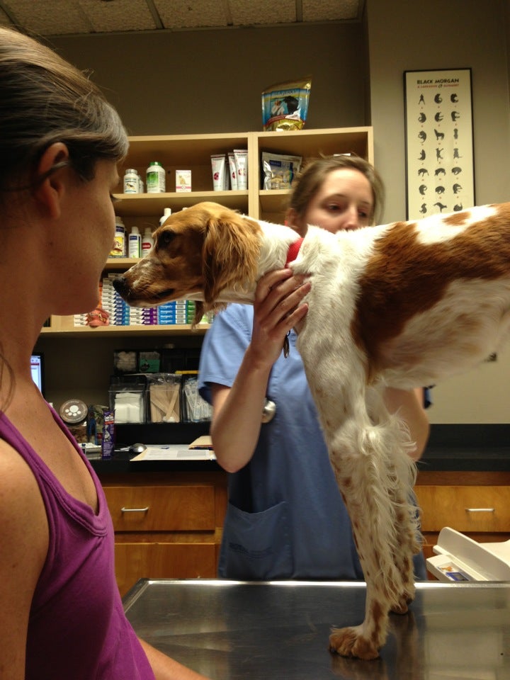 South Bay Veterinary Clinic