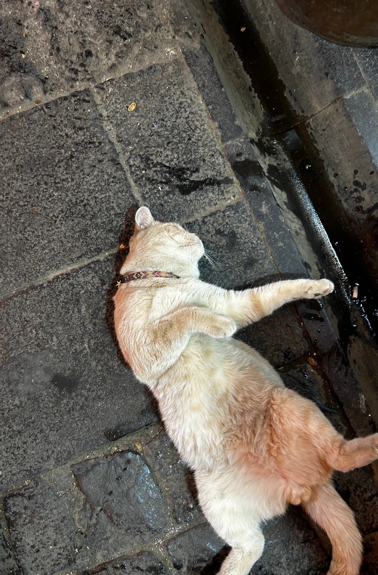 Mekan fotoğrafı 1