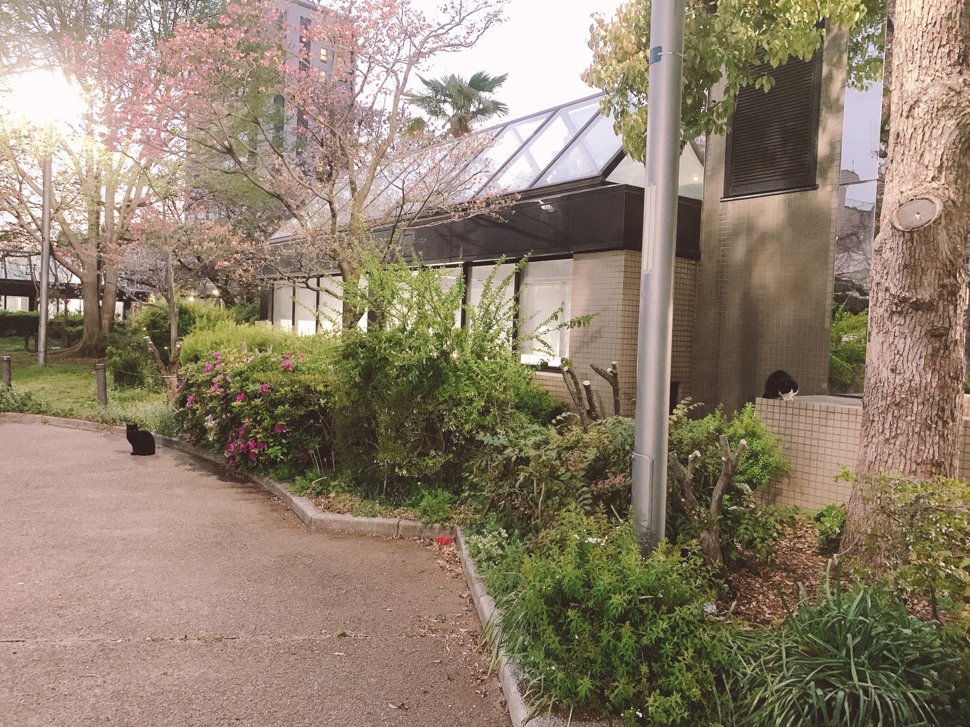 大田区には公園がたくさん 遊具が多いおすすめの公園15選 アチコチ By ママリ 大田区には公園がたくさん 遊具が多いおすすめの公園15選 アチコチ By ママリ