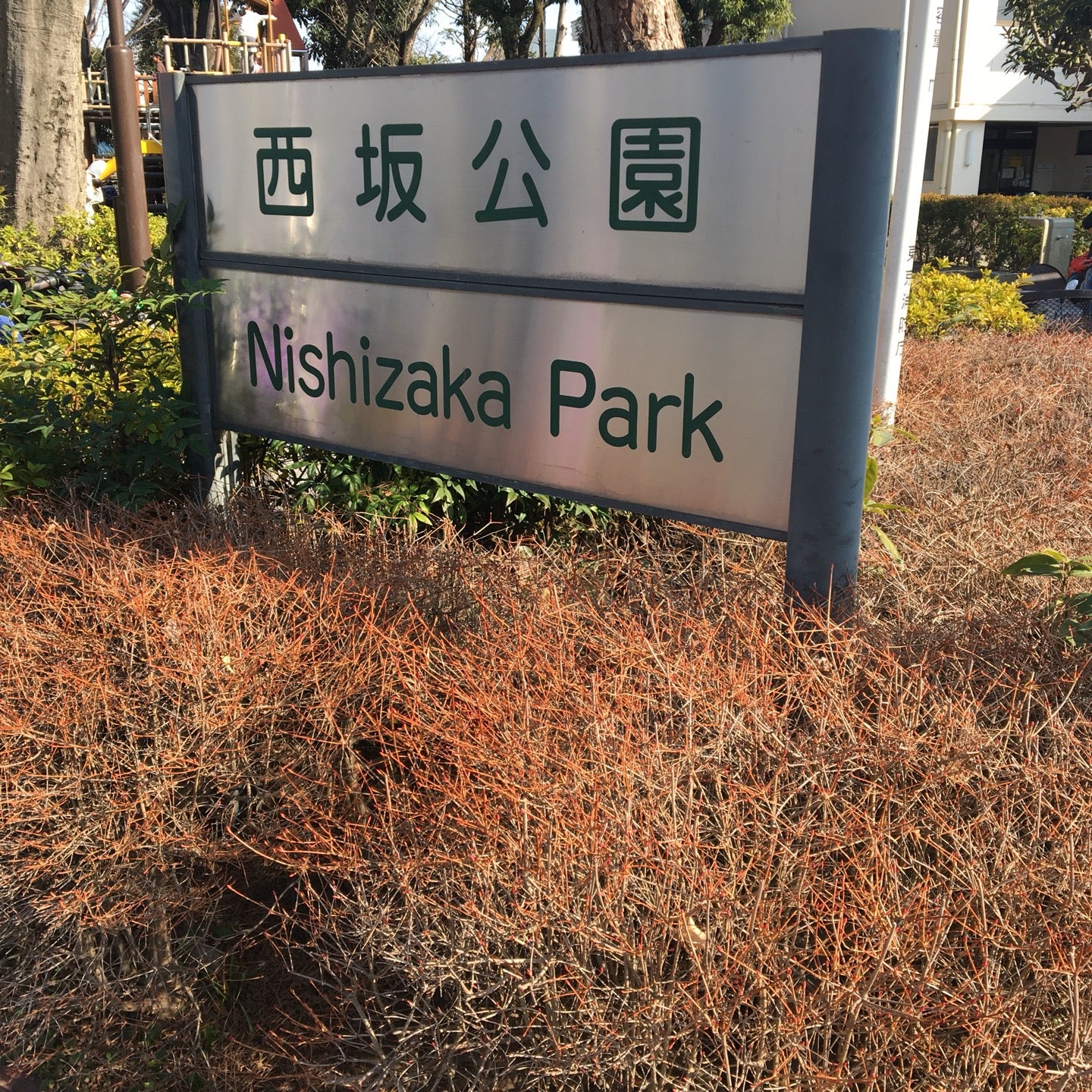西坂公園
