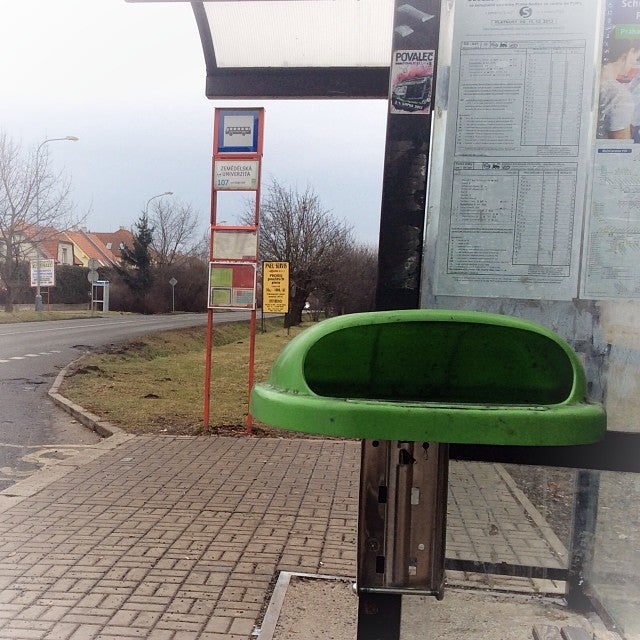 Zemědělská univerzita - photo 4 showing the facility