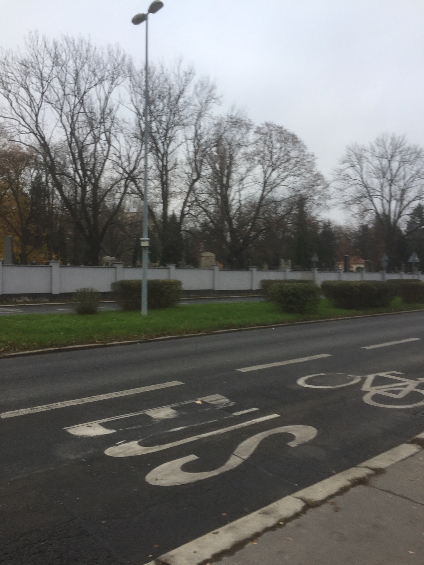 Krčský hřbitov - photo 1 showing the facility