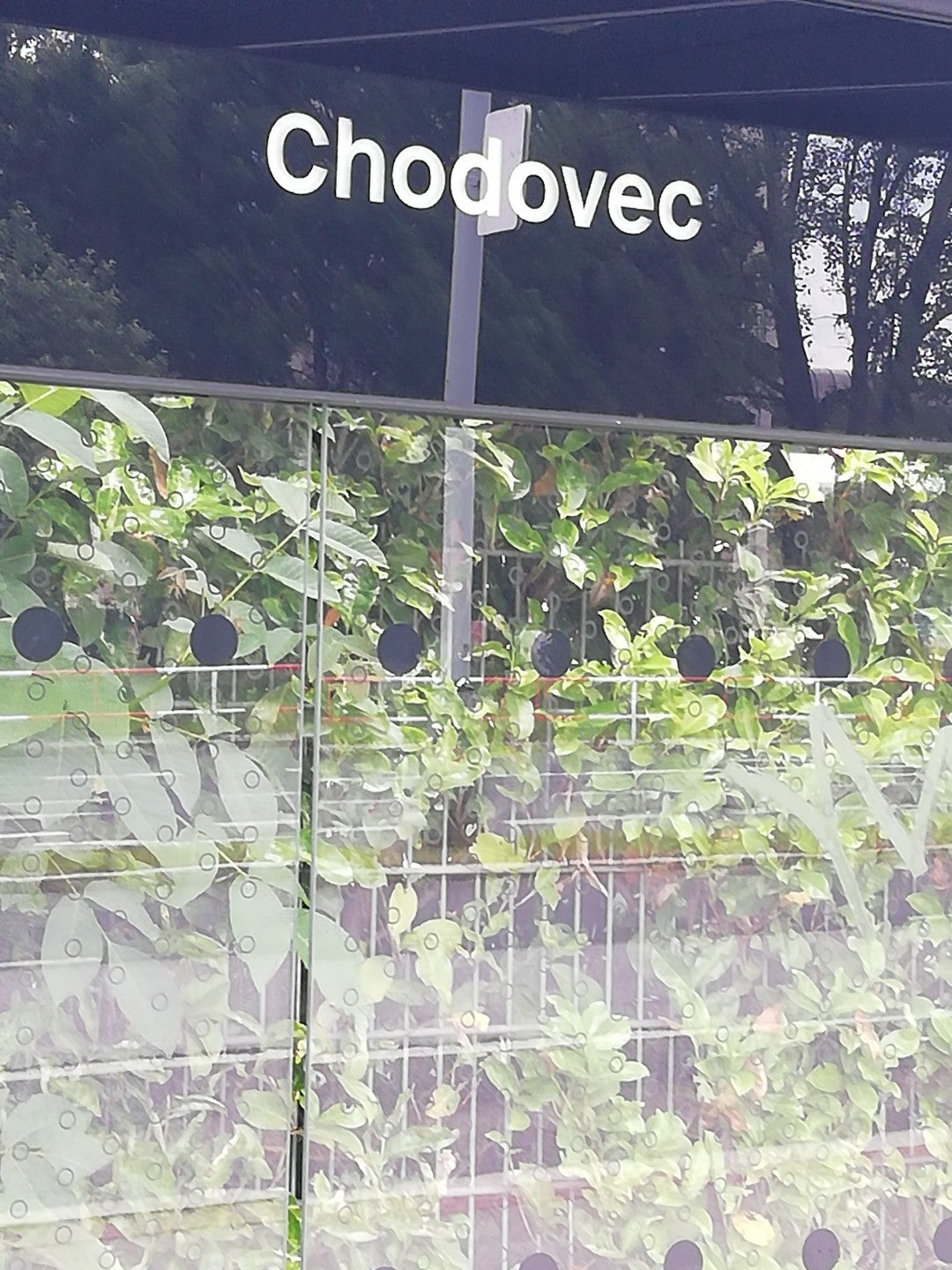 Chodovec - photo 2 showing the facility