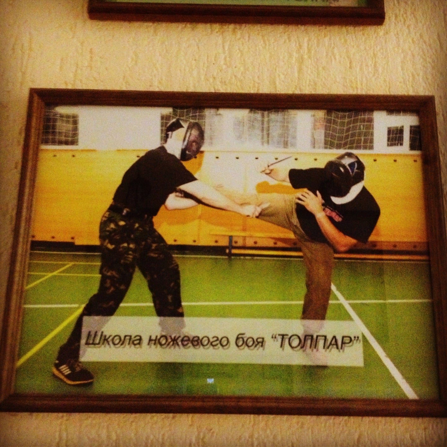 Шнб Толпар Logo