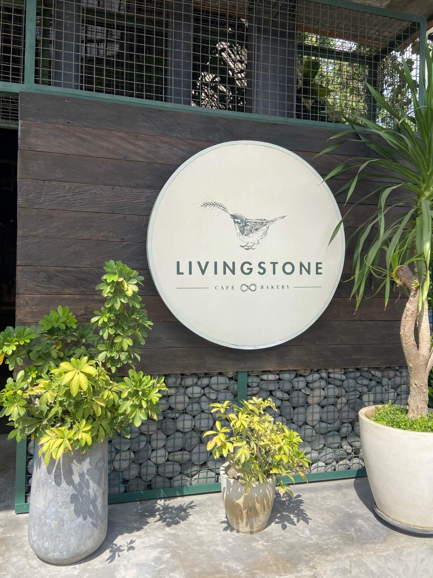 리빙스톤(Livingstone): 발리 여행 가이드 — Bali