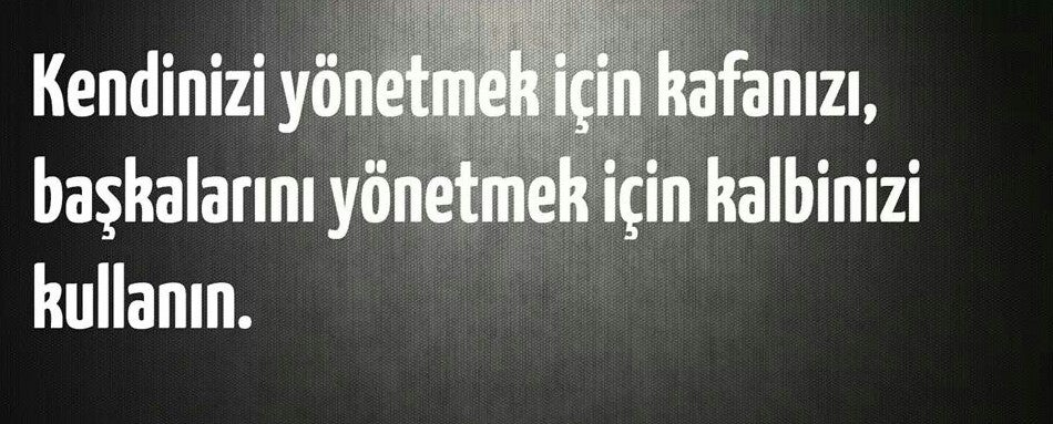 Sofrabeyaz Mersin Logo