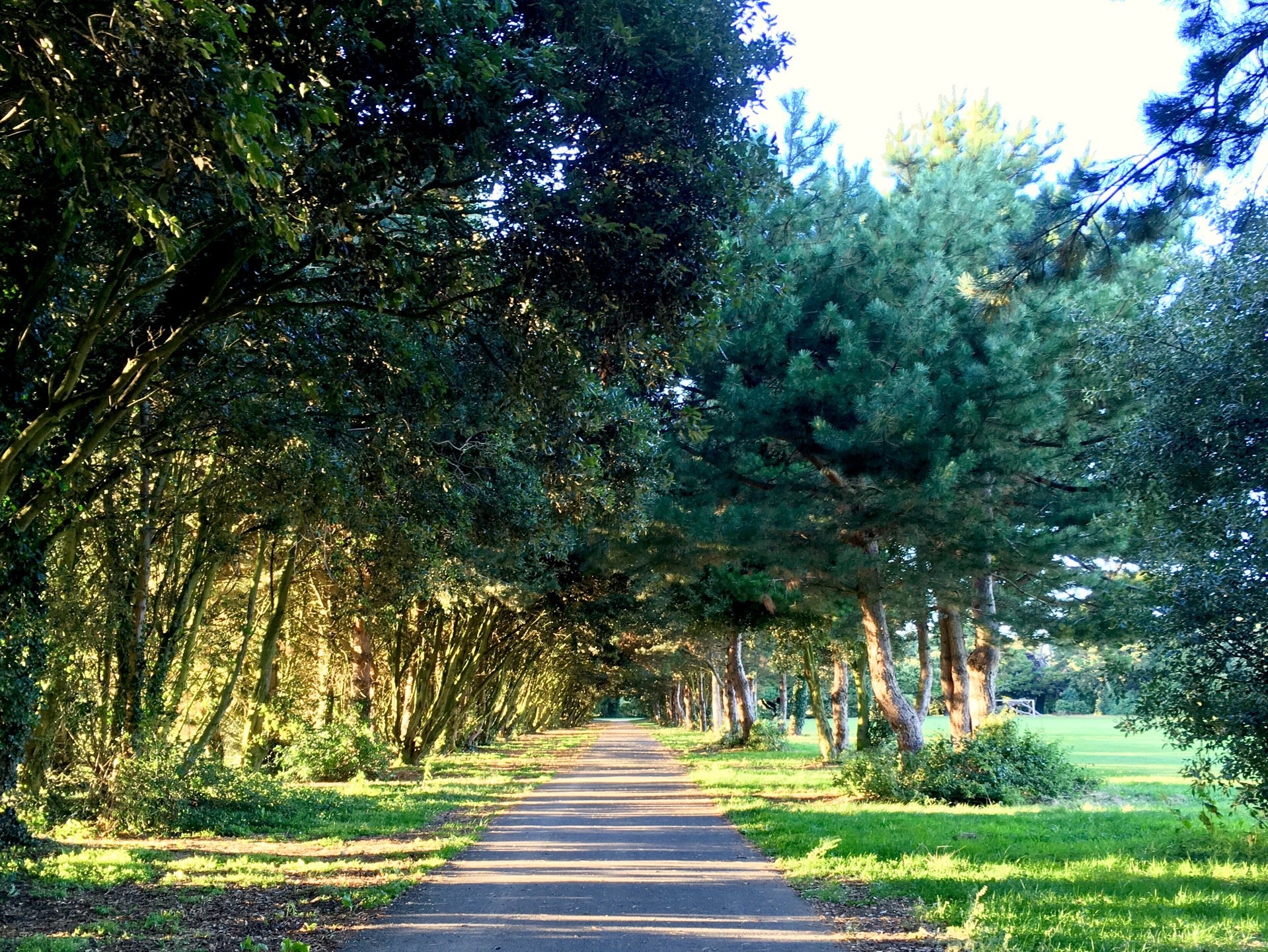 St. Anne’s Park 12