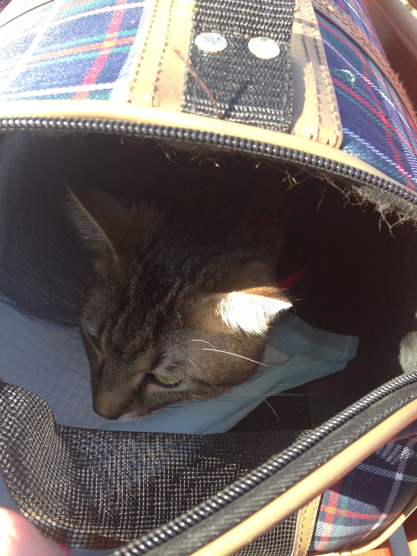 Avia Letňany - photo 2 showing the facility