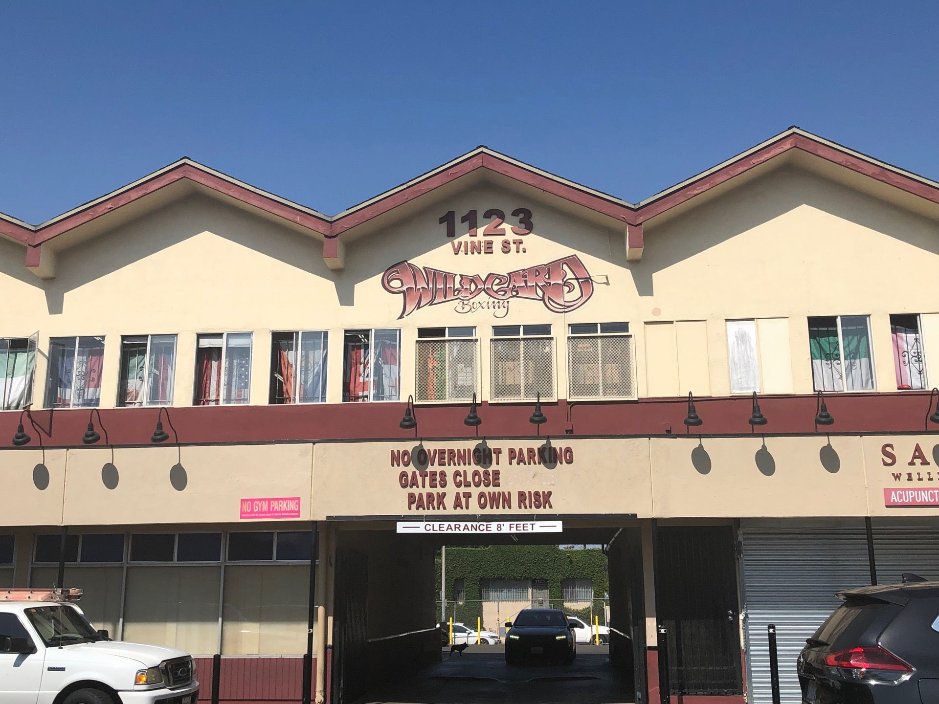 Wild Card Boxing cover photo