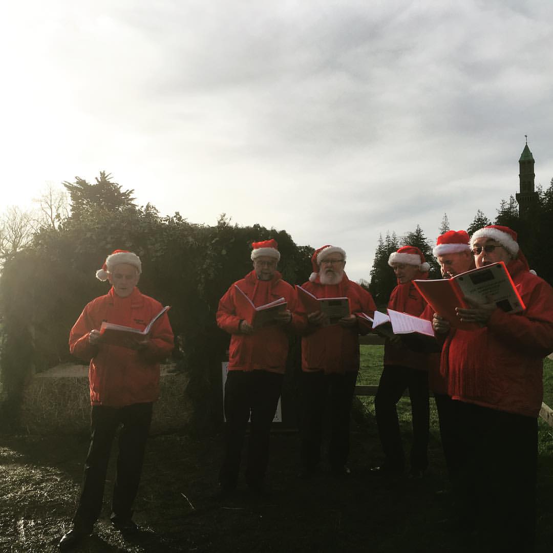 Farmleigh House & Estate 11