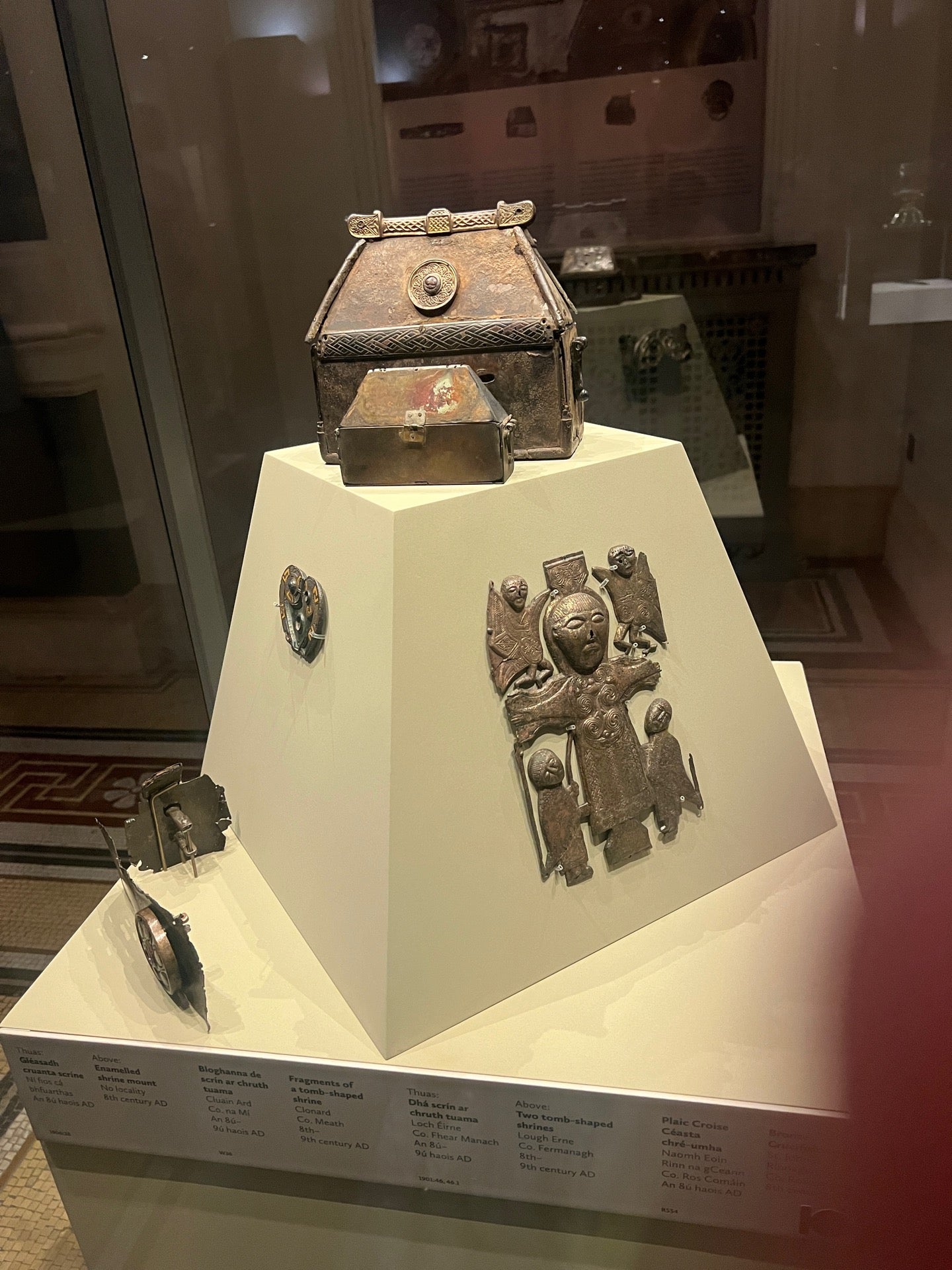 National Museum of Ireland - Kildare Street 12