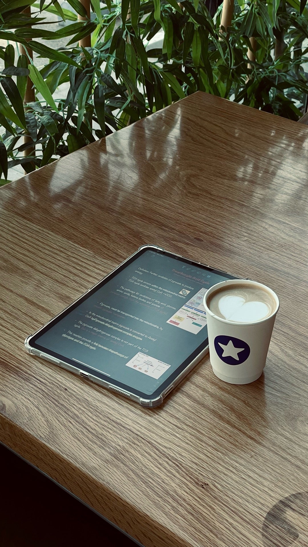 blue-star-cafe-king-faisal-bin-abdulaziz-rd-khobar