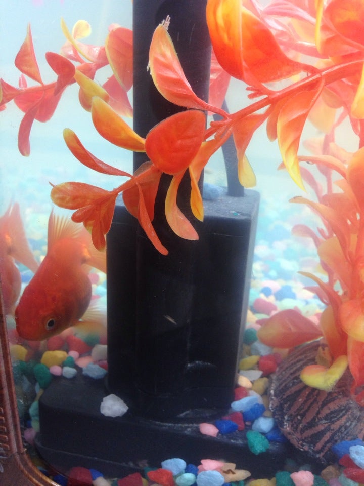 Славянский Logo