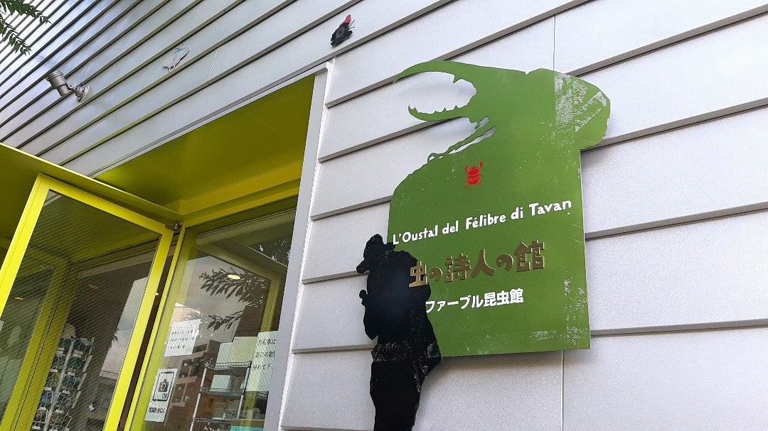 昆虫好きの子どもにおすすめ！都内近郊、関東にある昆虫館8選 