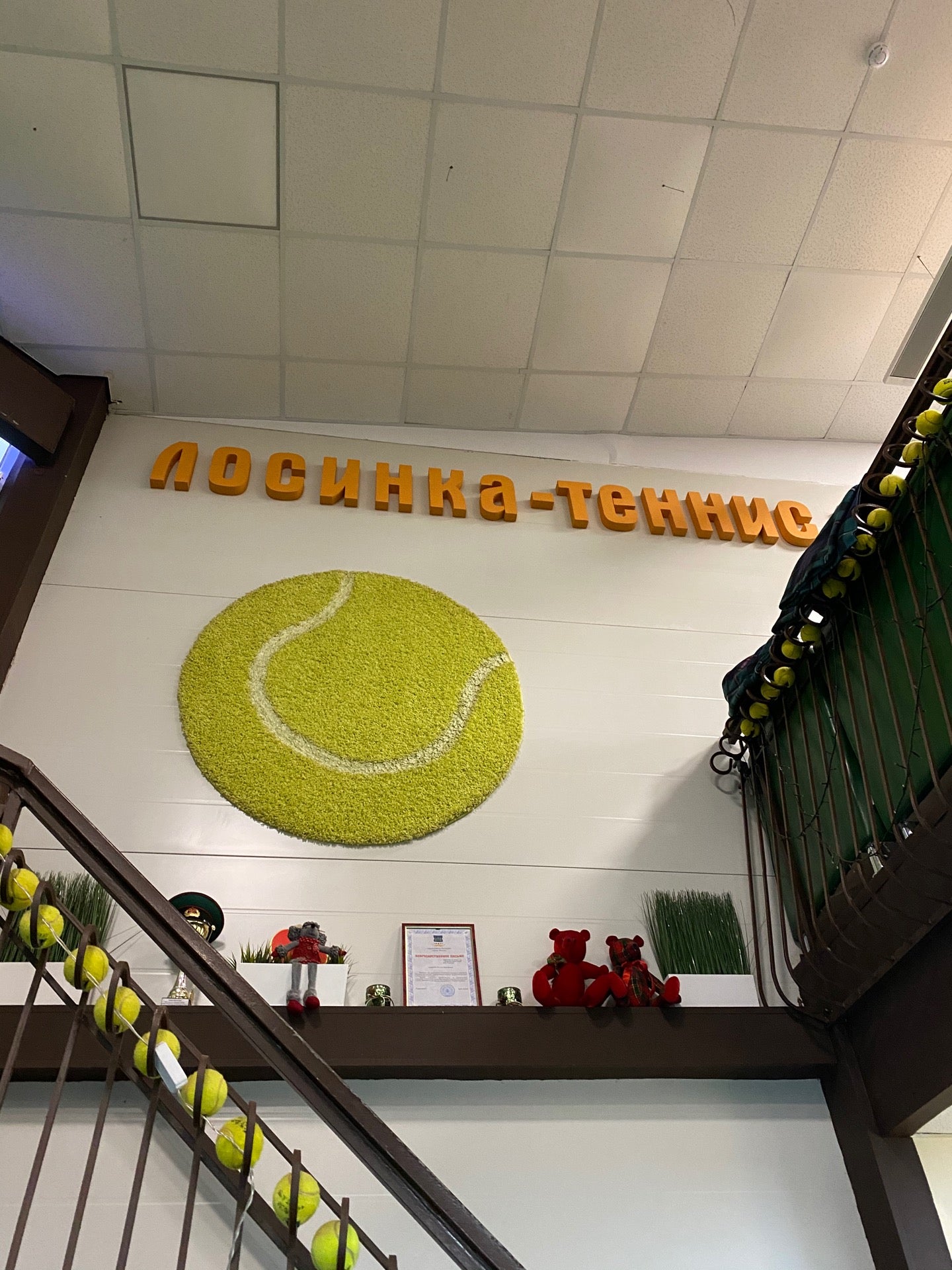 Государственное Бюджетное Учреждение Города Москвы Центр Досуга И Спорта " Лосинка "