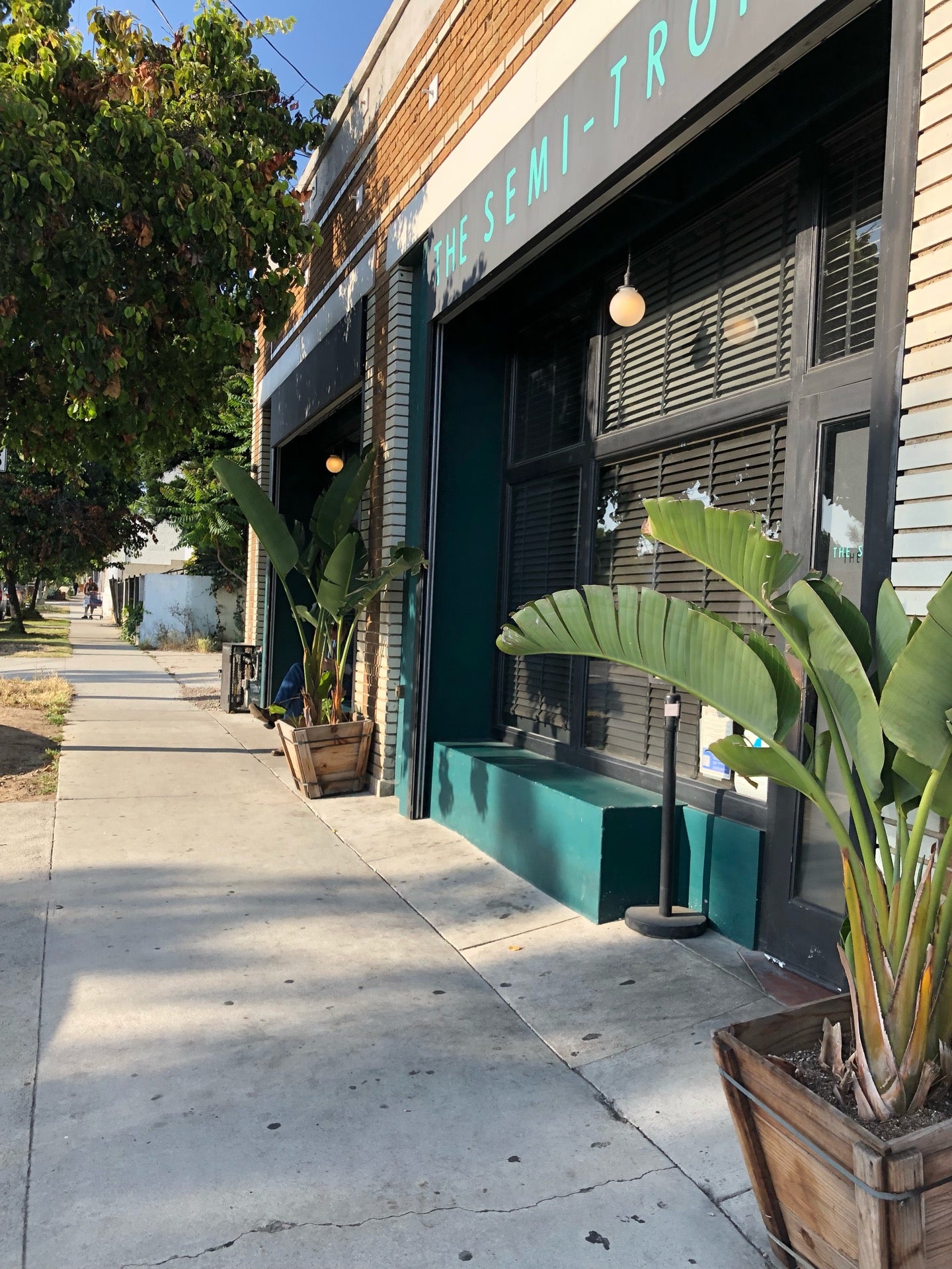 The Semi-Tropic cover photo