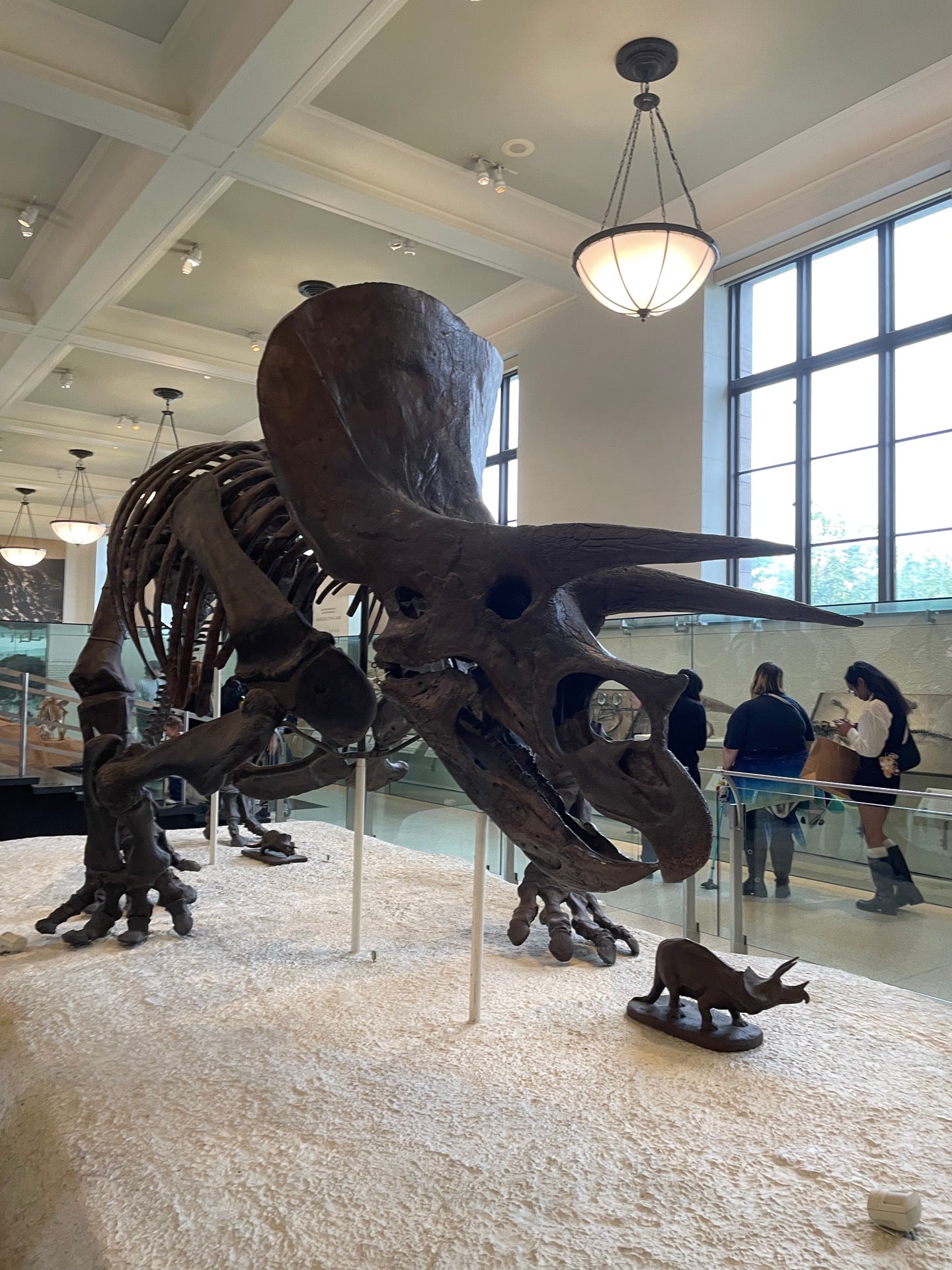 Museo Americano de Historia Natural en Nueva York, Estados Unidos
