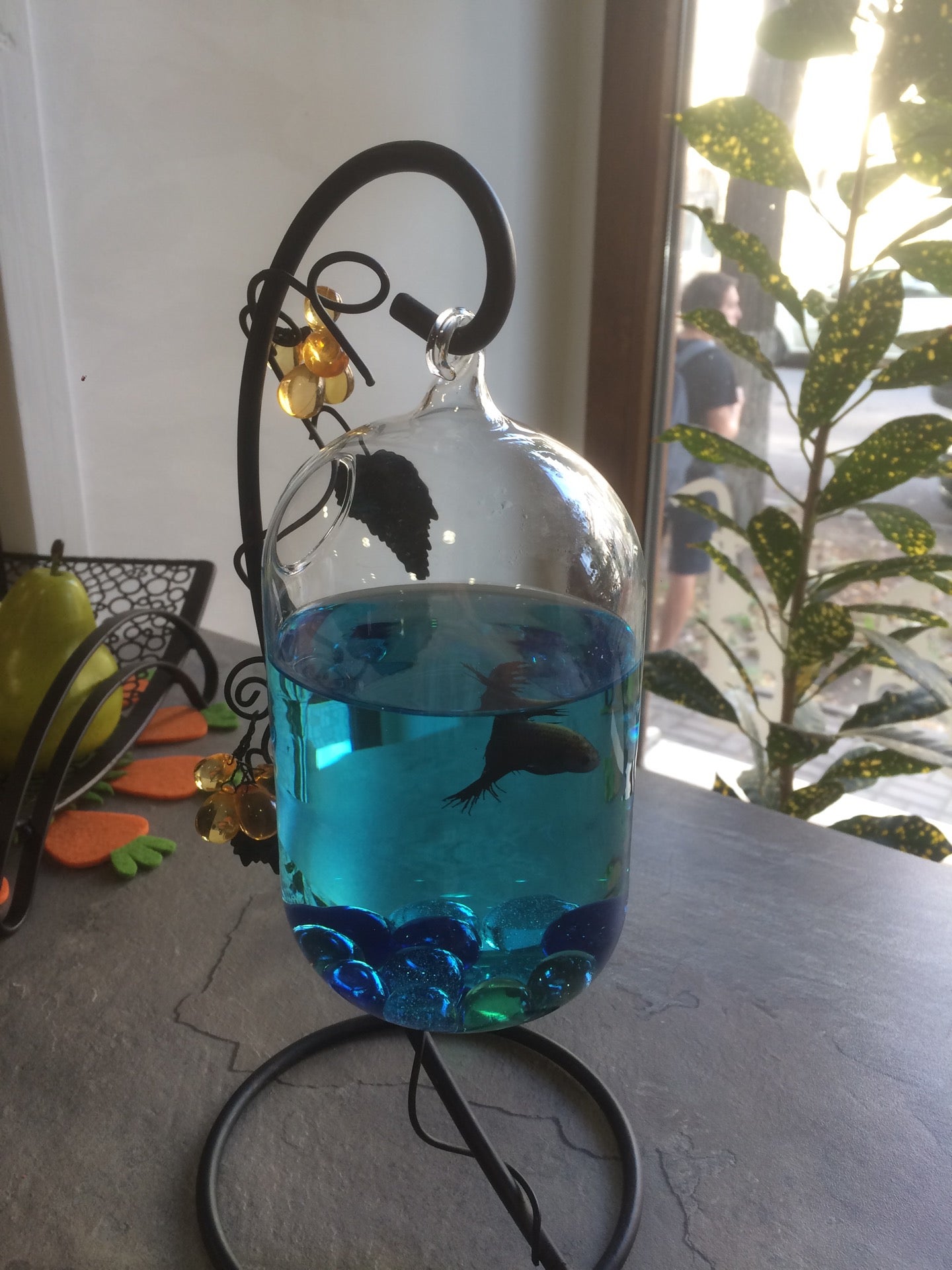 Кофейня Академия Logo