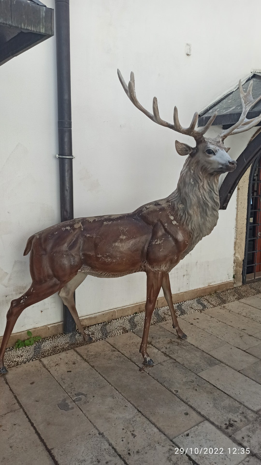 Mekan fotoğrafı 9
