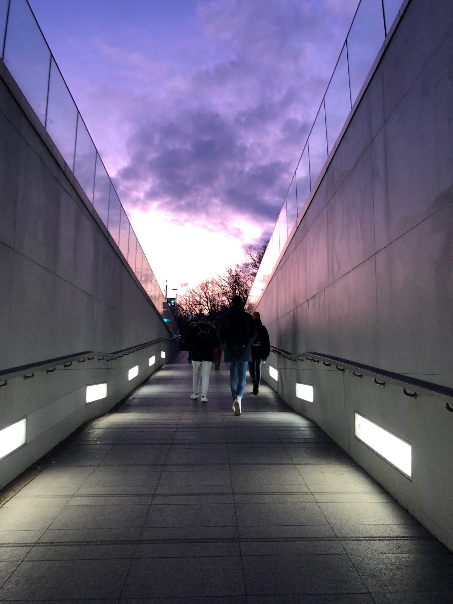 Fakultní nemocnice MOTOL - photo 5 showing the facility