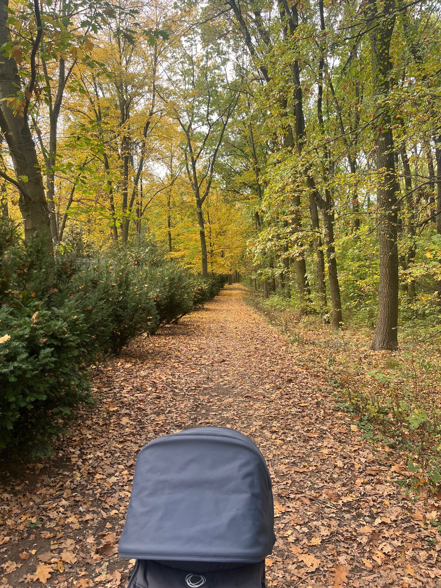 Na Pazderce - photo 1 showing the facility