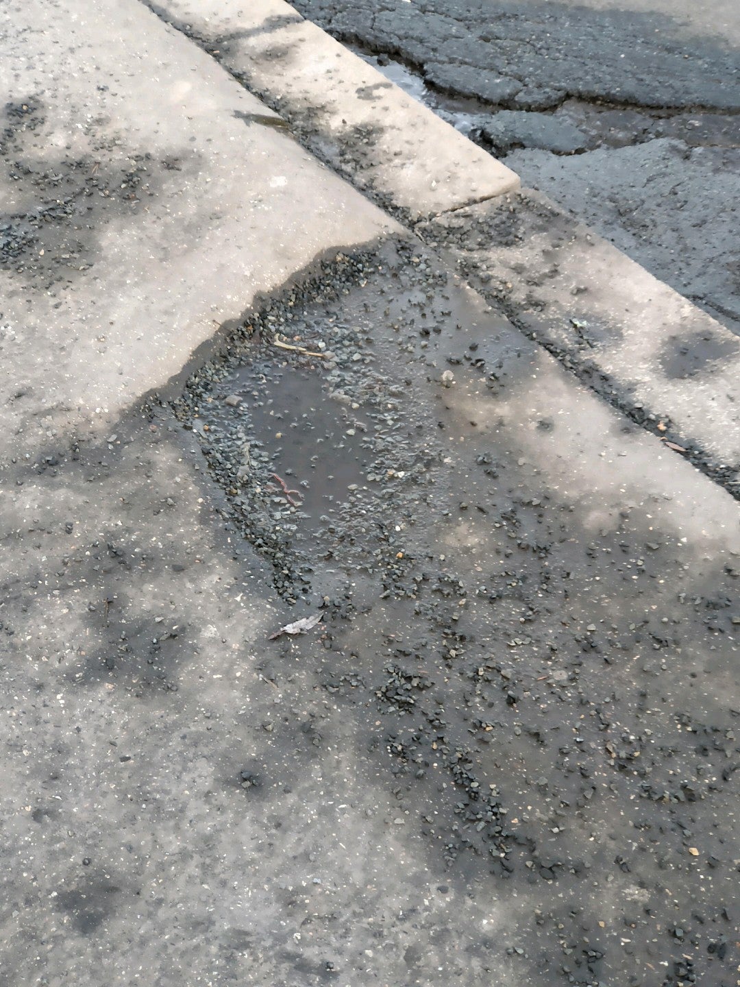 Chodovec - photo 5 showing the facility