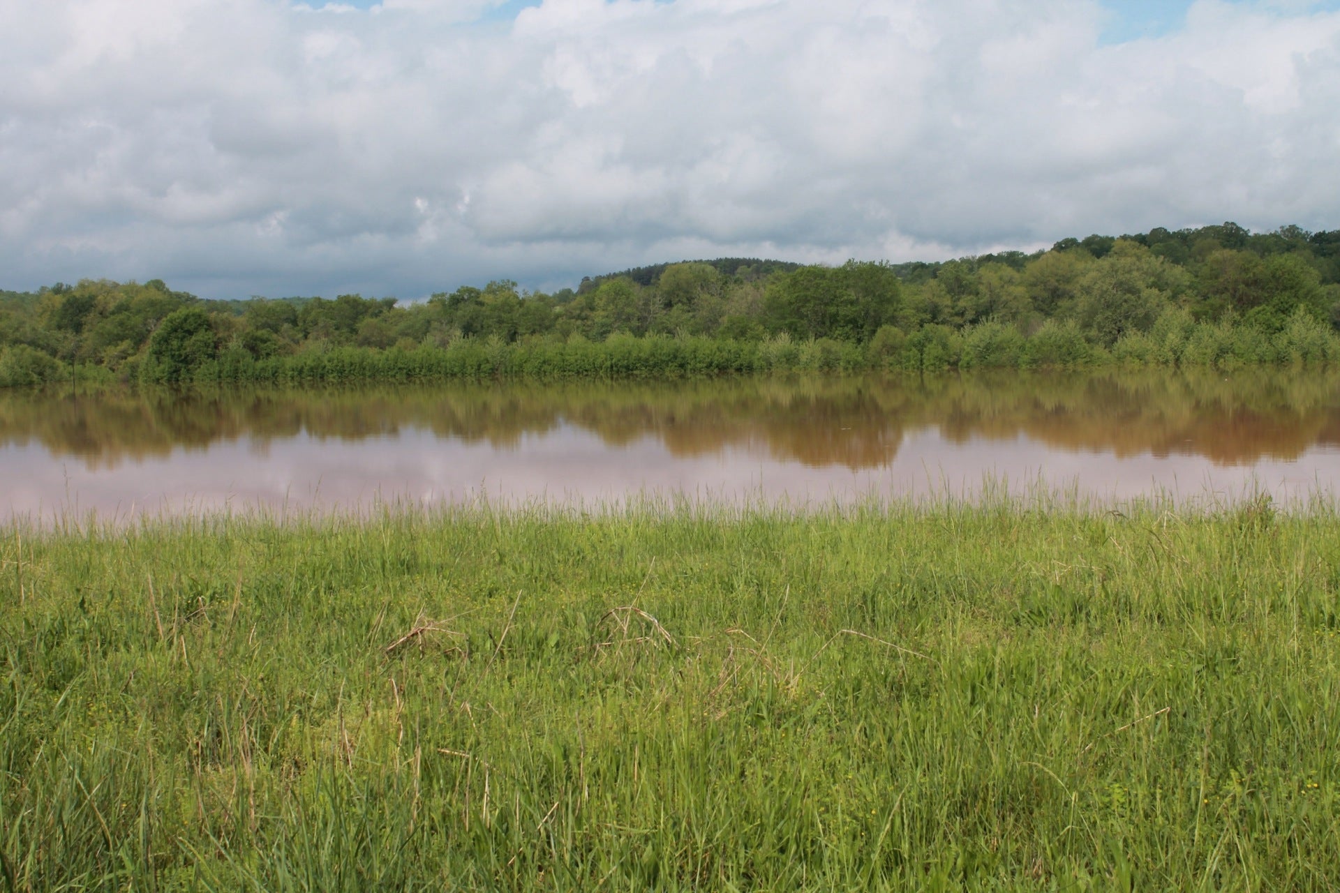 Forest Hills, Rutherfordton, Nc