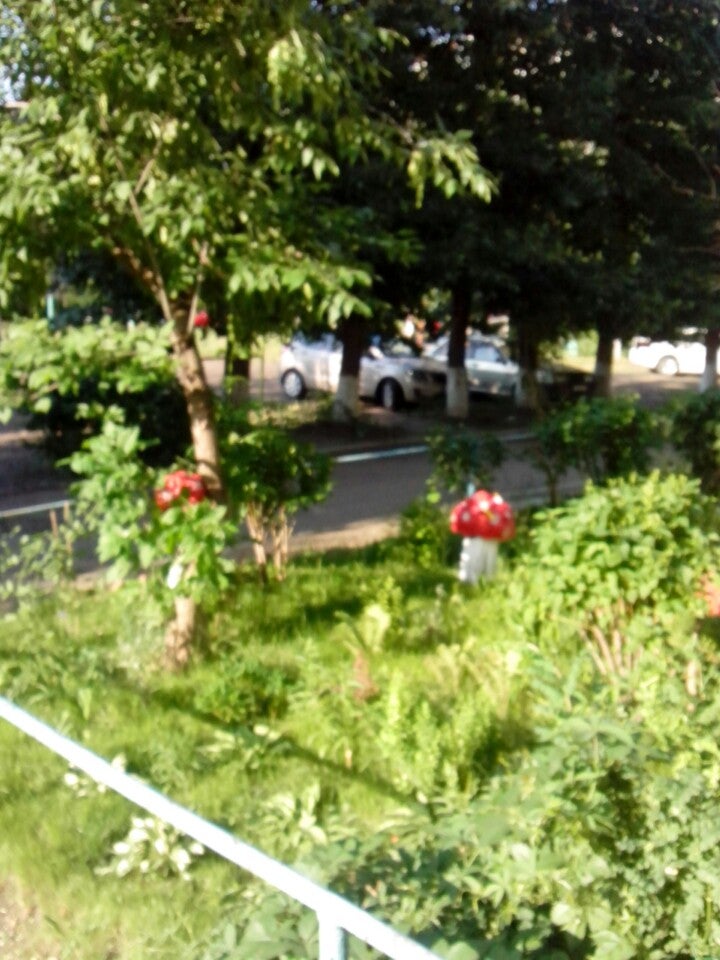 Двор Андрея Киреева)