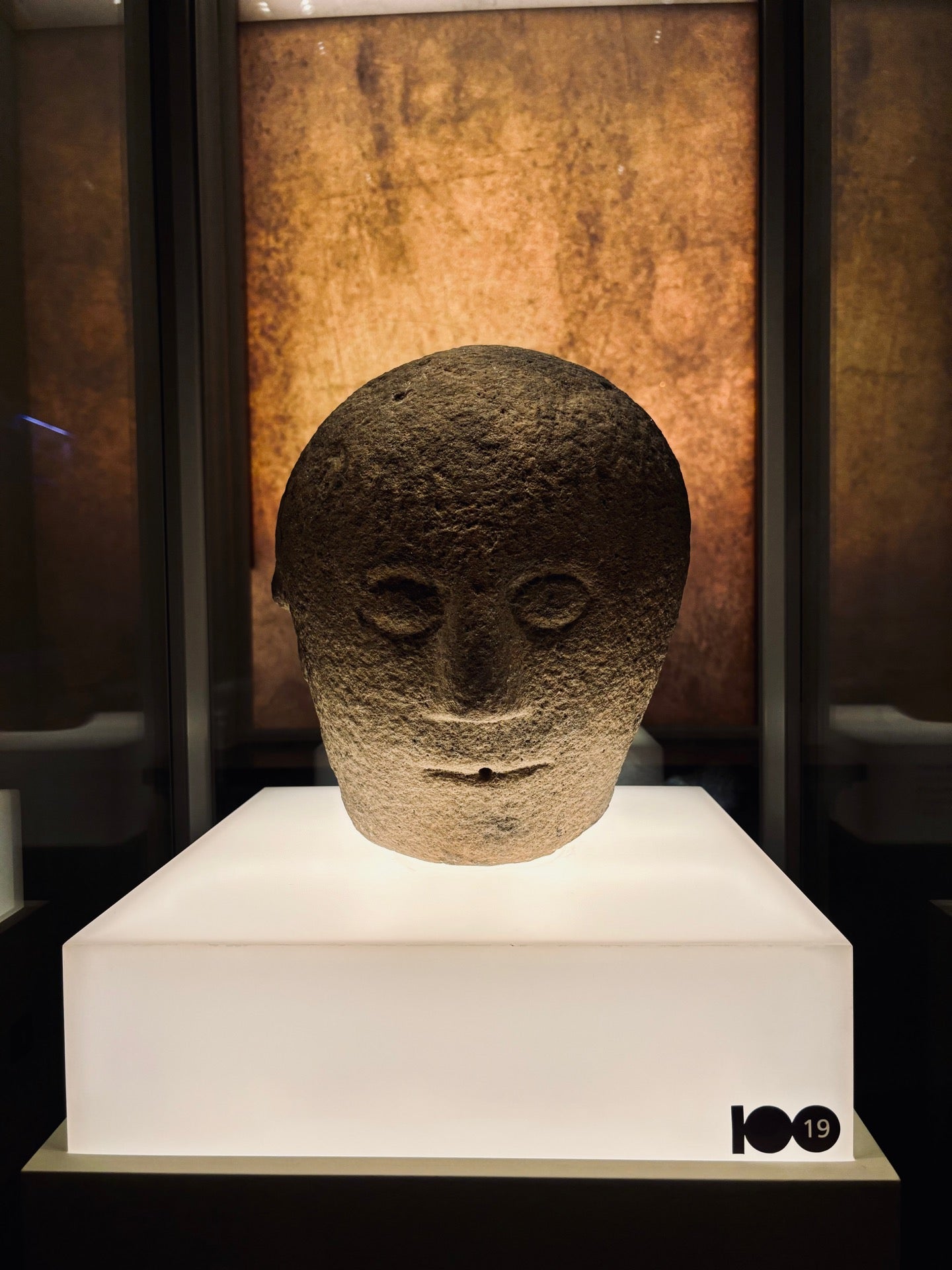 National Museum of Ireland - Kildare Street 9