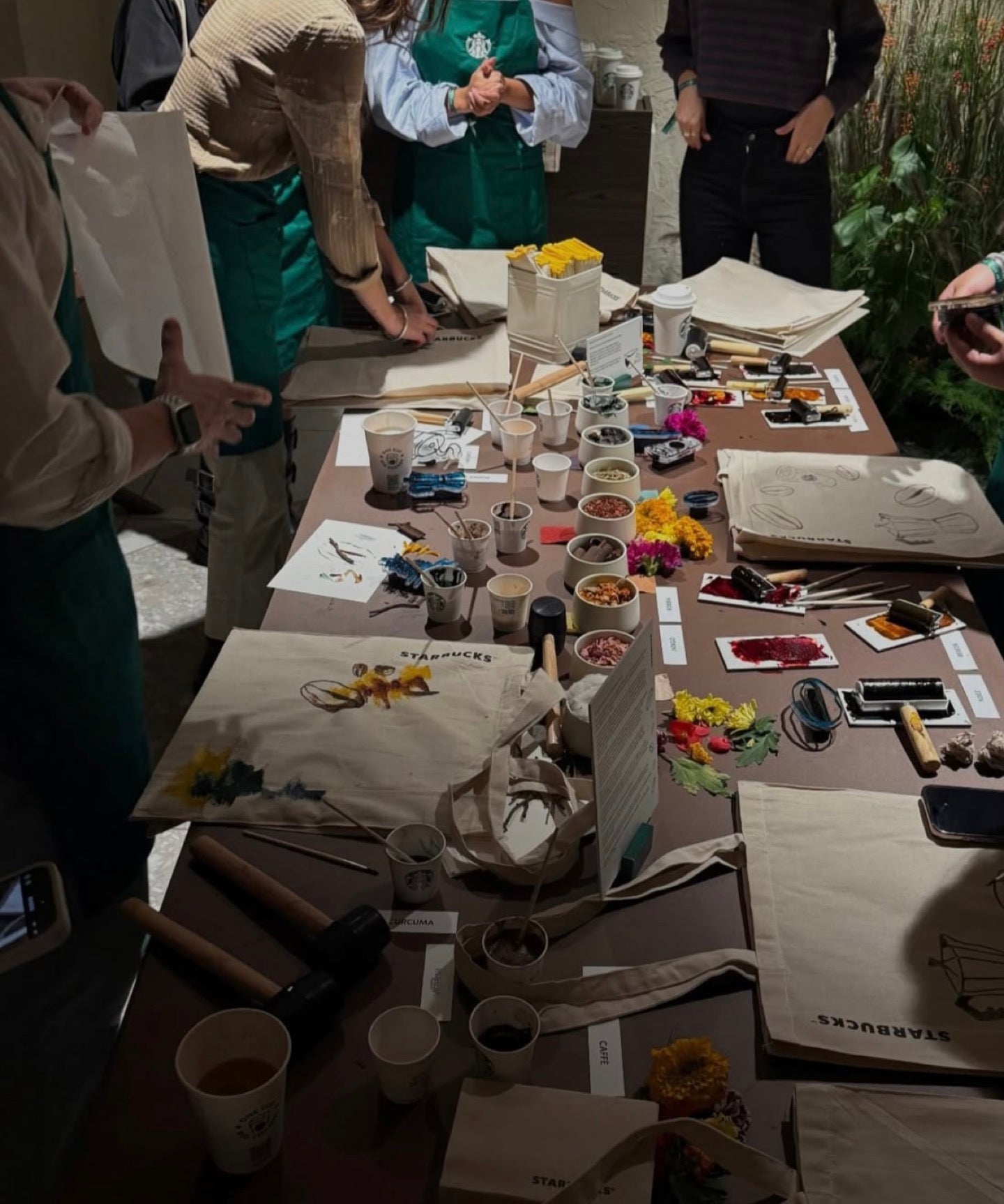 Starbucks - Naples cafe