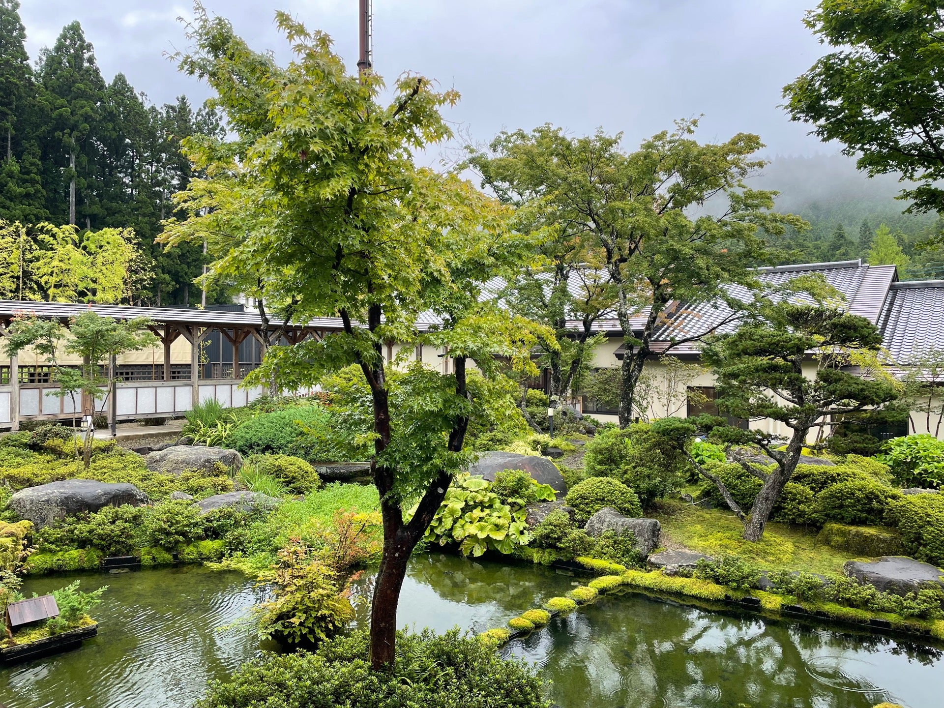 日光温泉周辺で子連れにおすすめの旅館 ホテルをご紹介 アチコチ By ママリ