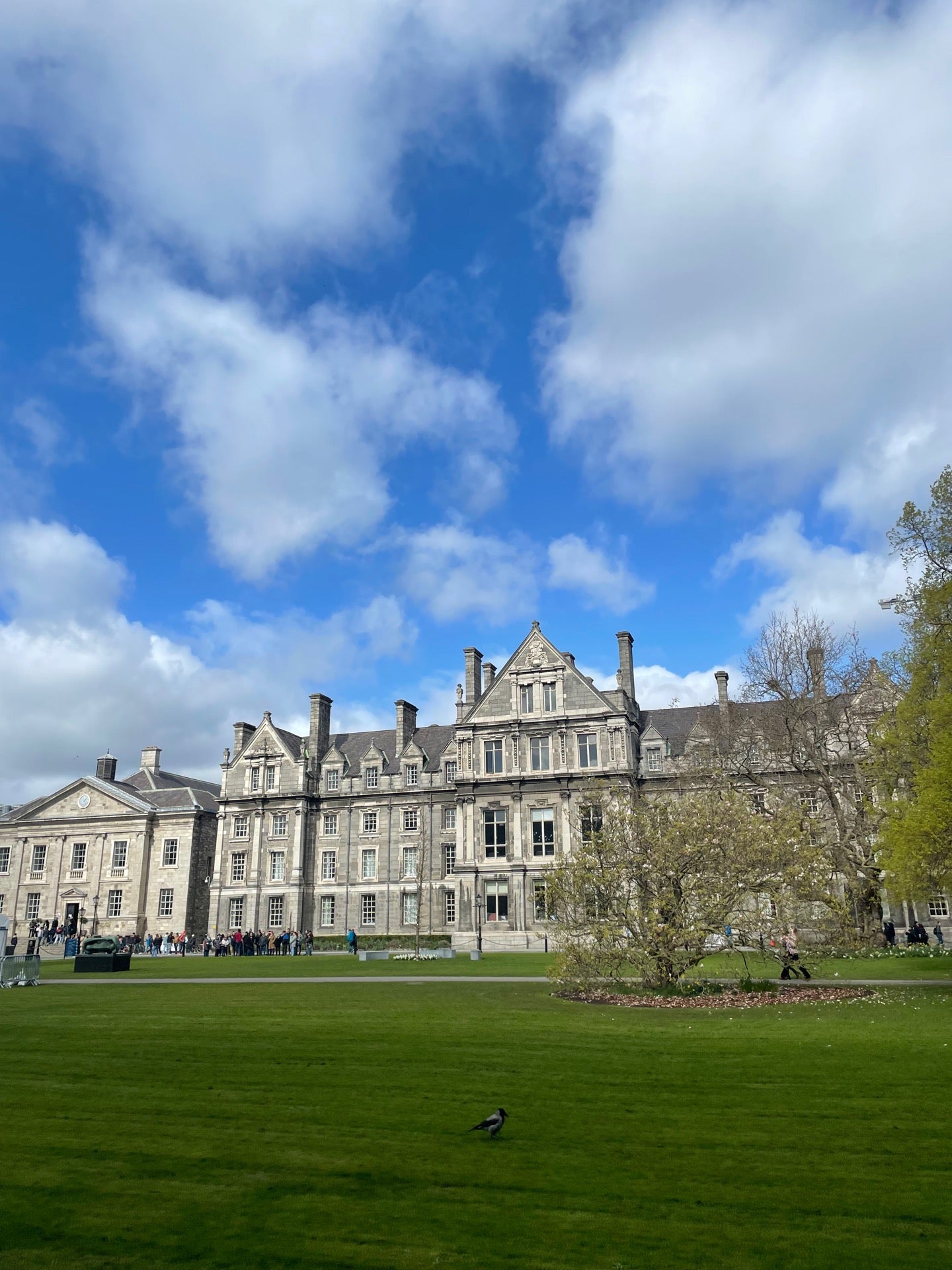 Trinity College 17