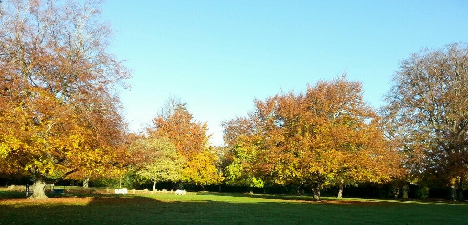 Farmleigh House & Estate 9