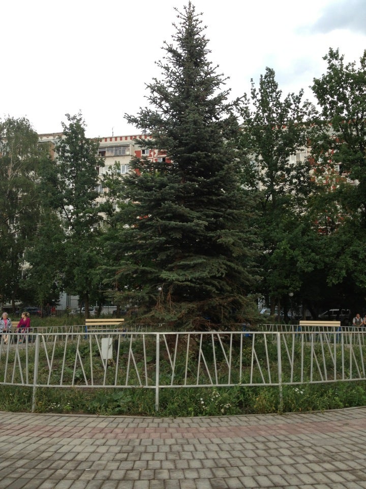 Елочный Парк