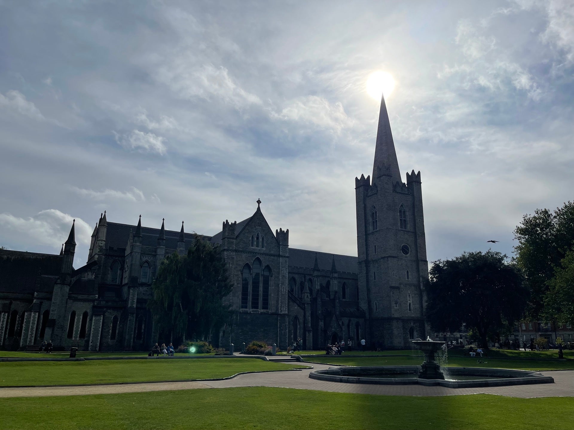 St Patrick's Cathedral 8