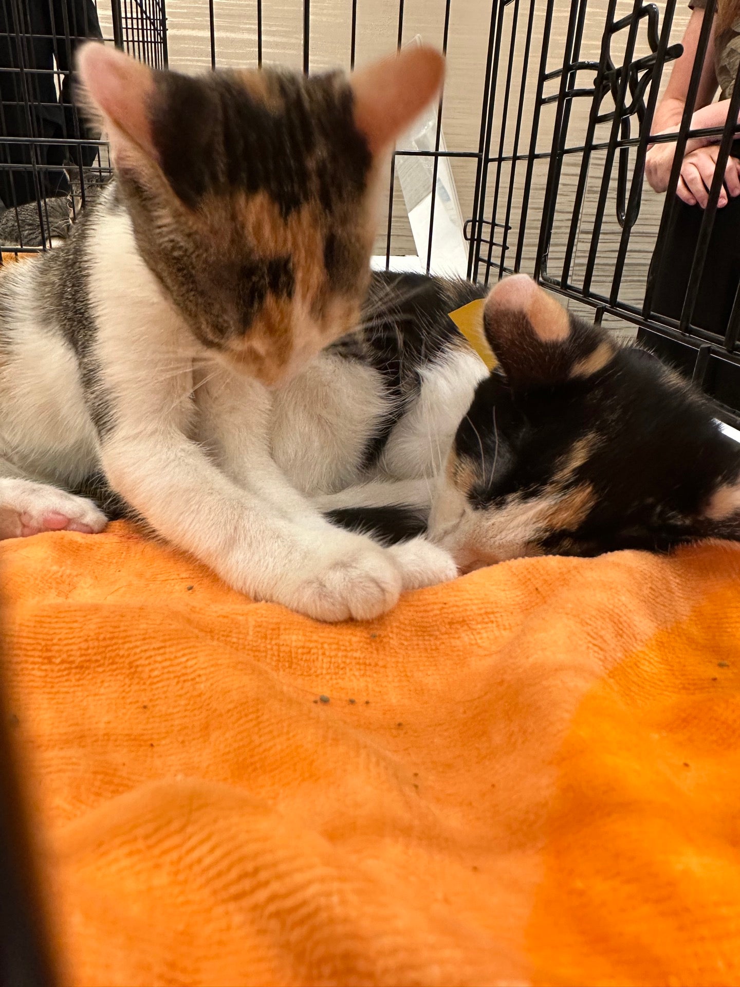 Criterion Theater - Oklahoma City