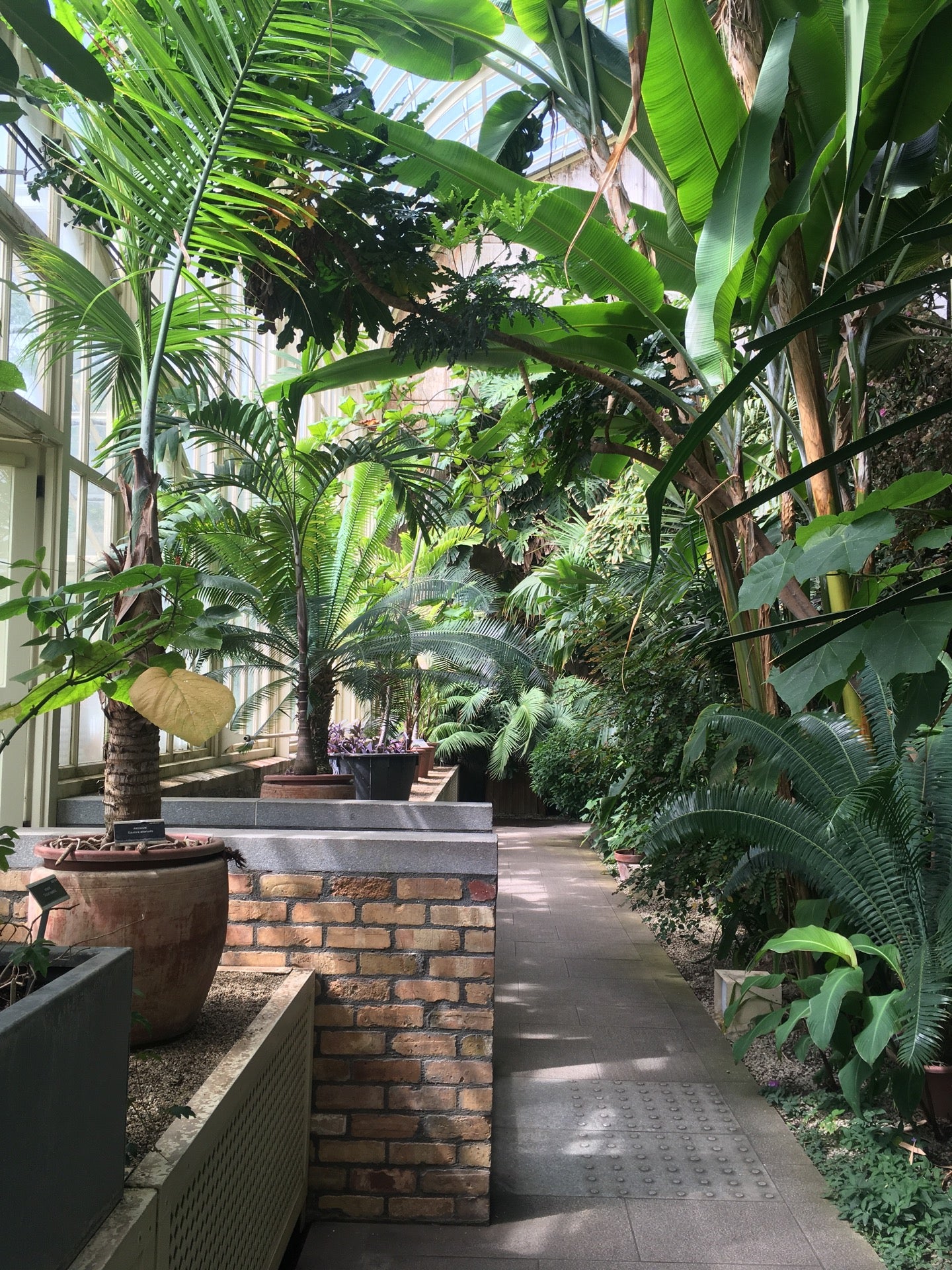 National Botanic Gardens 19